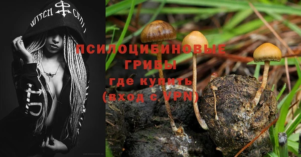 трава Балахна