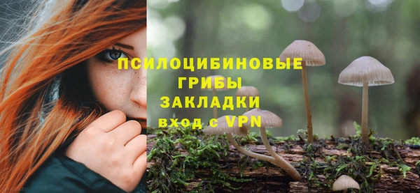 трава Балахна