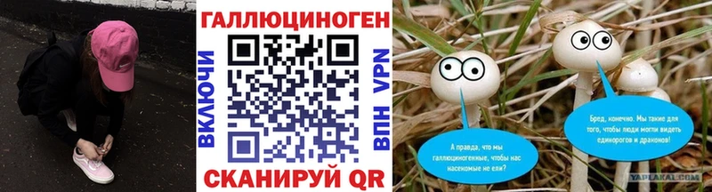 продажа наркотиков  Бугульма  Галлюциногенные грибы Psilocybine cubensis 